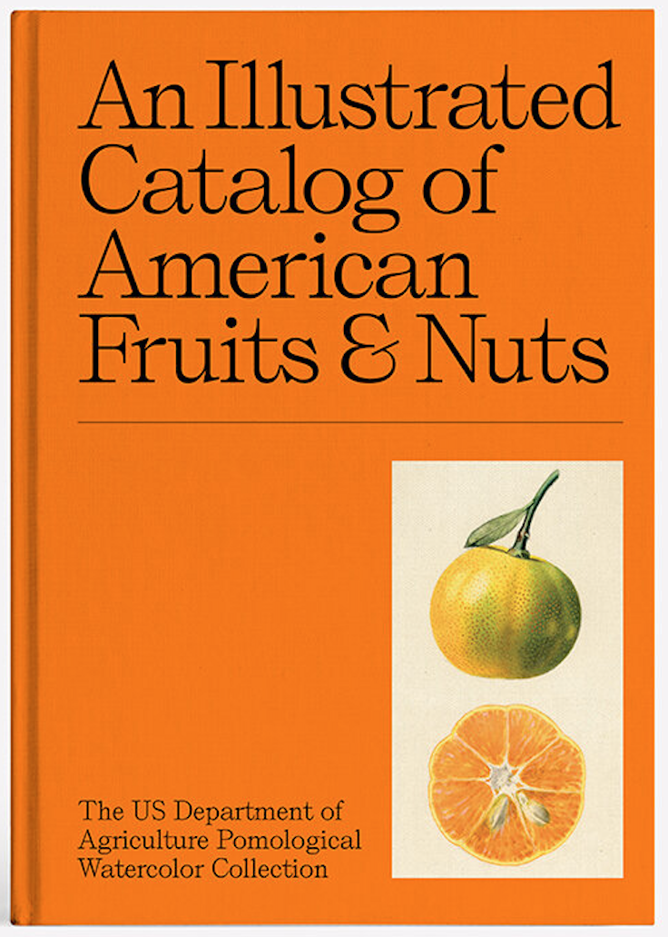 An Illustrated Catalog of American Fruits & Nuts book cover